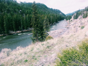 Yellowstone National Park, Wyoming, cross country road trip