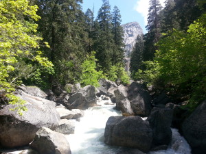 Yosemite National Park, CA, cross country road trip