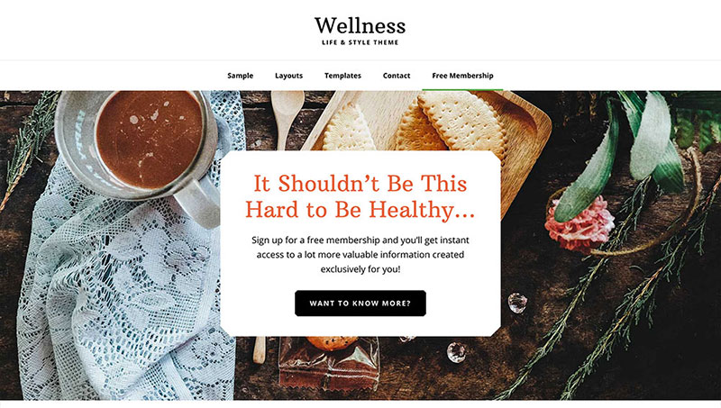 Wellness Pro Premium One Page WordPress Theme