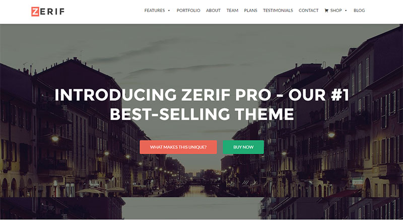 Zerif Pro One Page WordPress Theme